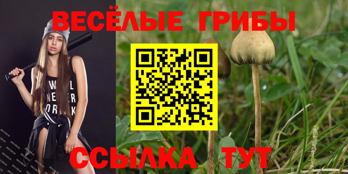 Галлюциногенные грибы мухоморы Стрежевой